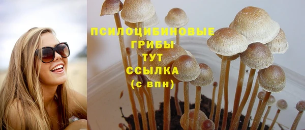 хмурый Алексин