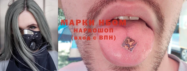 хмурый Алексин