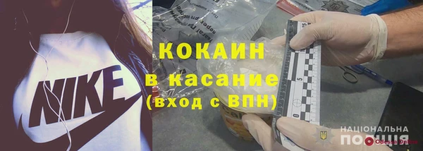хмурый Алексин