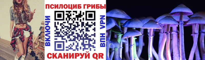 blacksprut ССЫЛКА  Боровичи  Галлюциногенные грибы MAGIC MUSHROOMS 