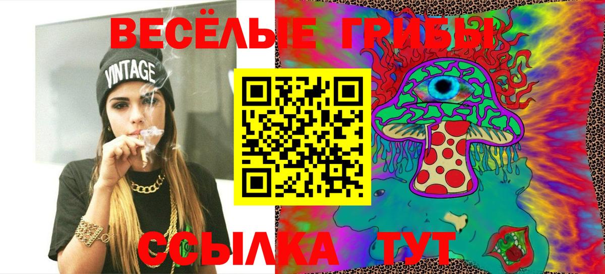 Боровичи  Псилоцибиновые грибы Psilocybe  Вход с VPN 